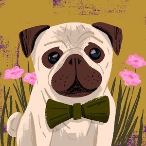 Meet your Posher, Blh